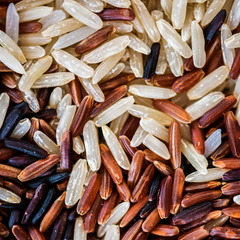 hydrolyzed rice protein /
