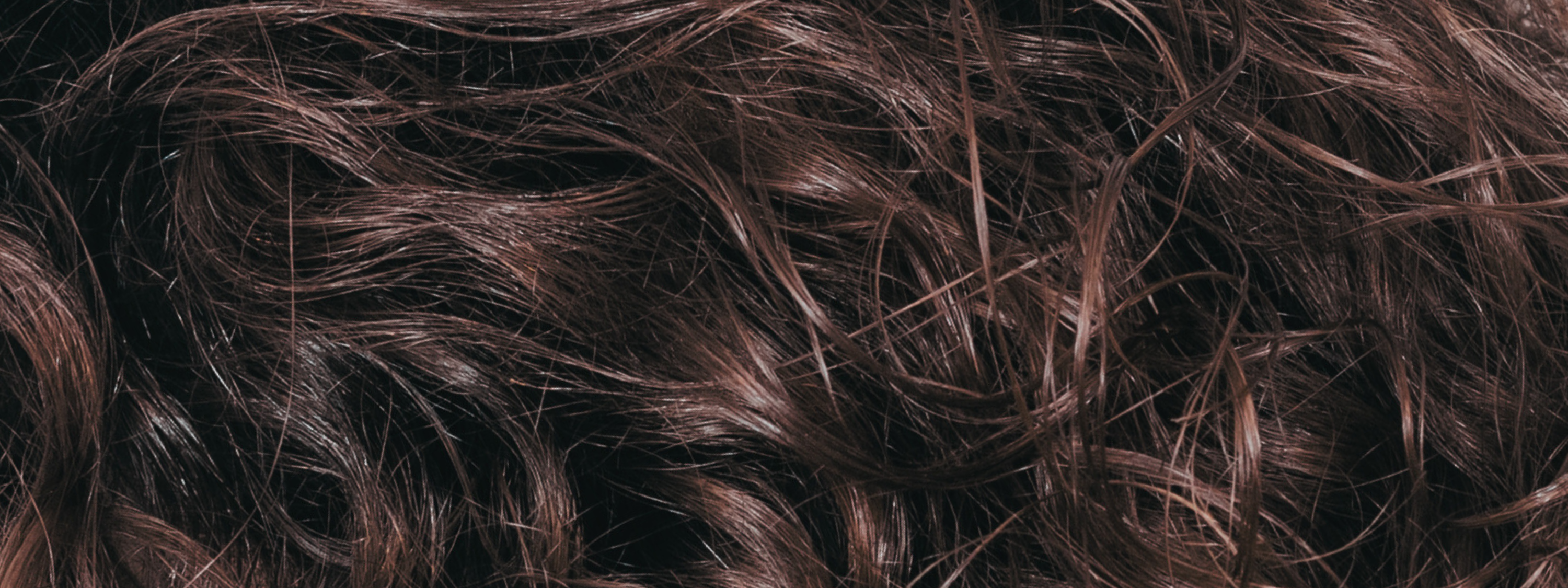 look of the month / textured curls / – Organic Colour Systems USA (OCS)