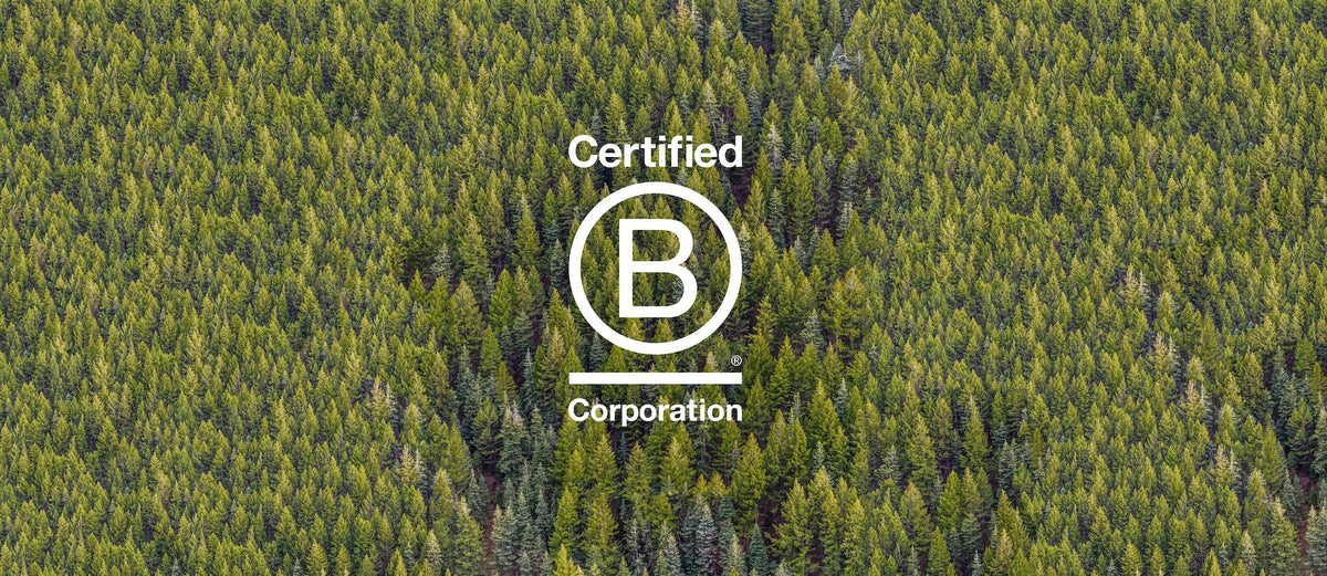Distributors | Organic Colour Systems – Organic Colour Systems USA (OCS)